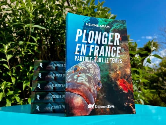 Plonger en France Partout - Tout le Temps