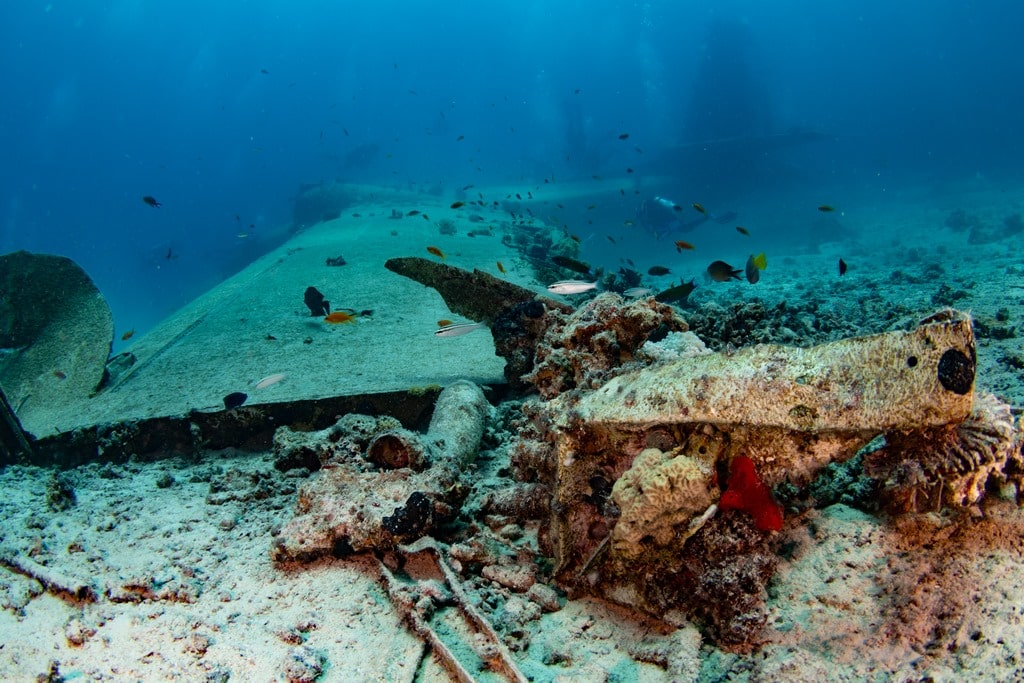Les débris de l'épave du Grumman HU-16 Albatross posé en mer Rouge près d'Elba