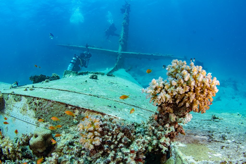 L'épave de l'avion près de Elba fait le bonheur des photographes sous-marins.