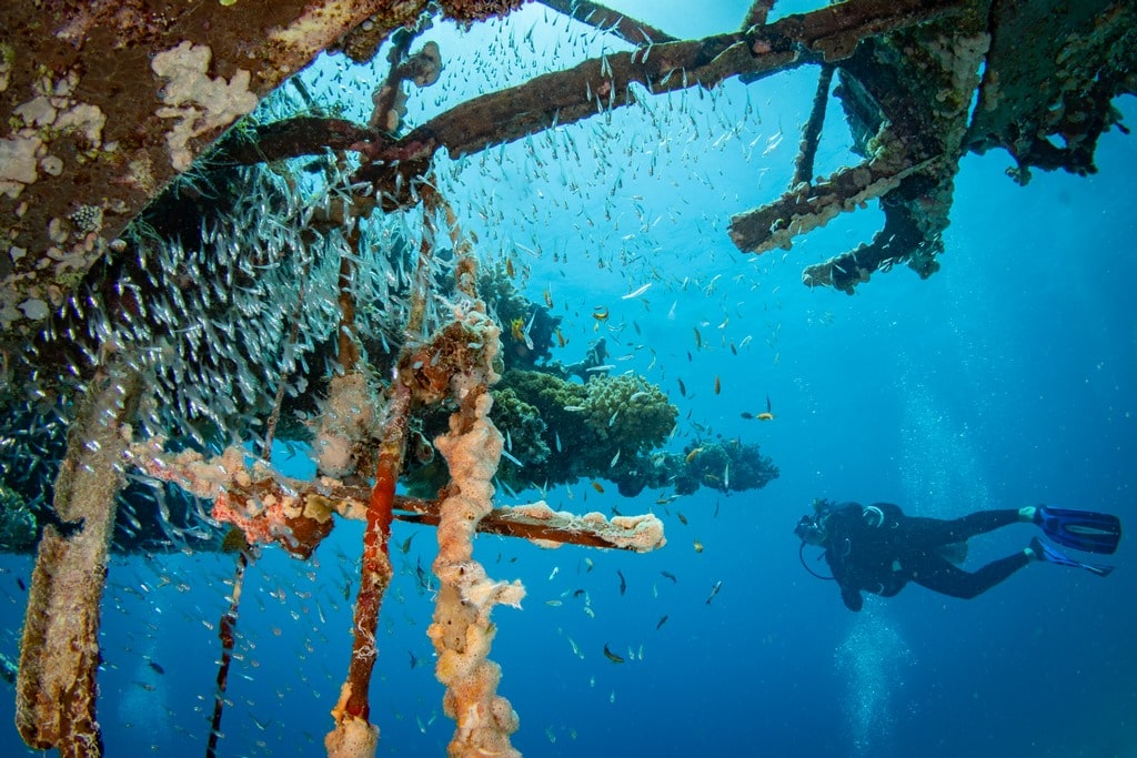 Un plongeur explore l'épave de l'hydravion Grumman HU-16 Albatross en mer Rouge près d'Elba