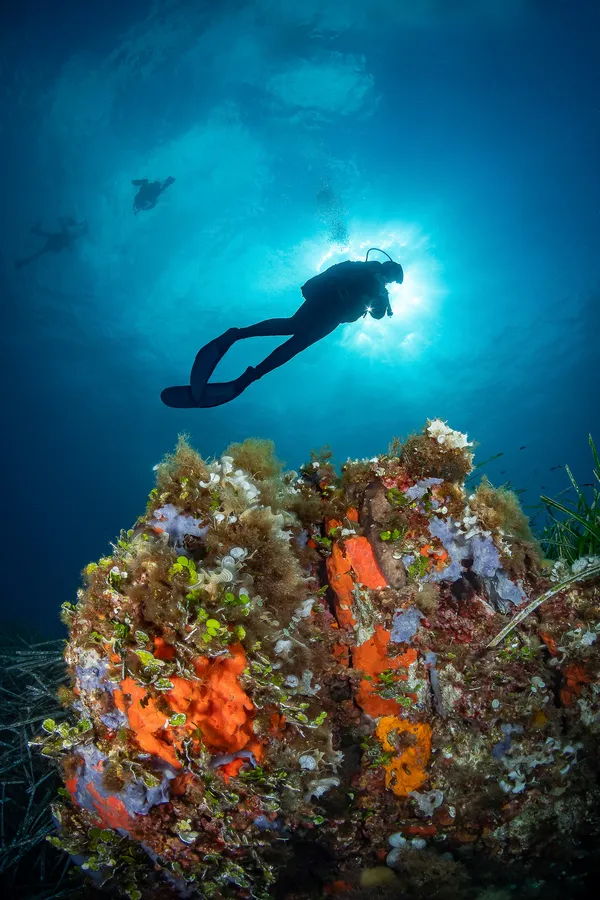 Photo de Miguel Ramirez