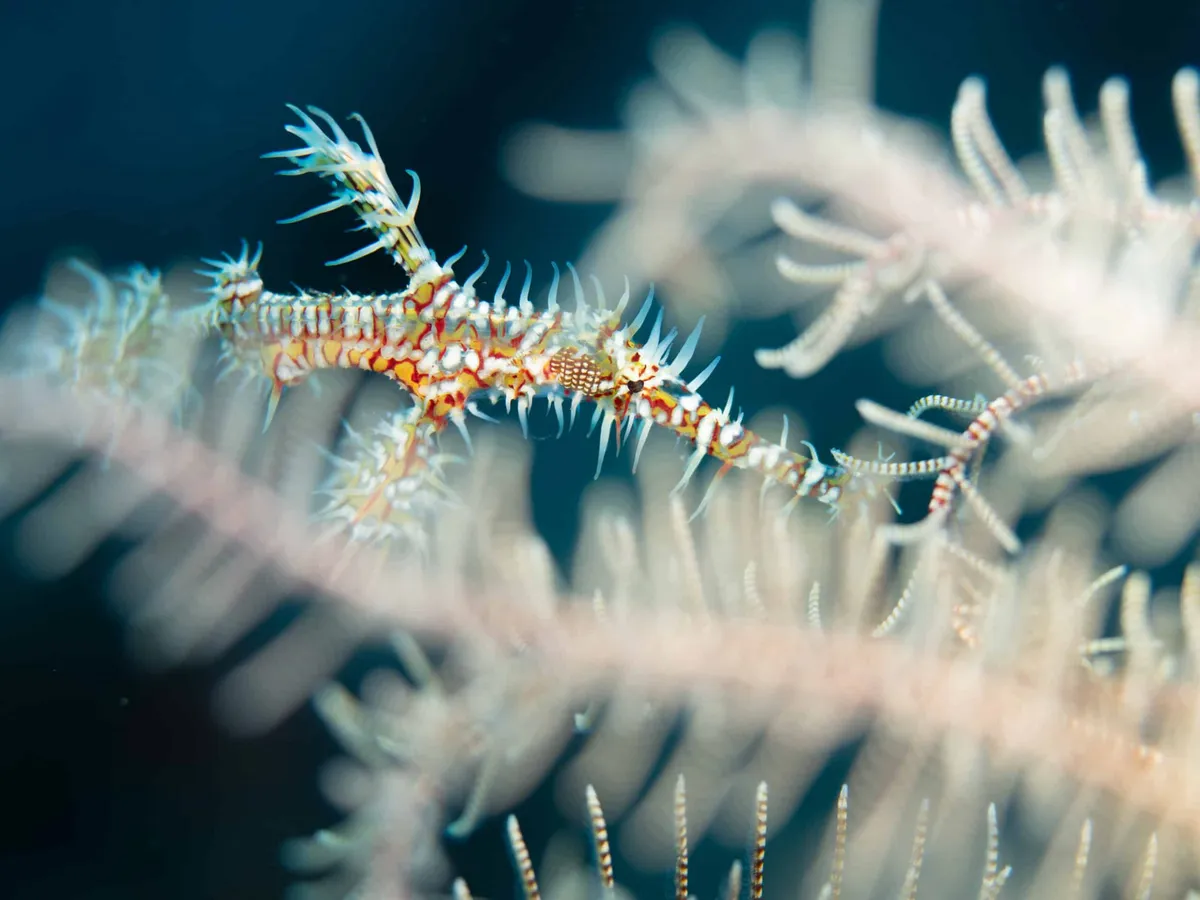 Premier prix du public du palmarès du concours de l'été 2024 : photo de Jean-Louis Metzler