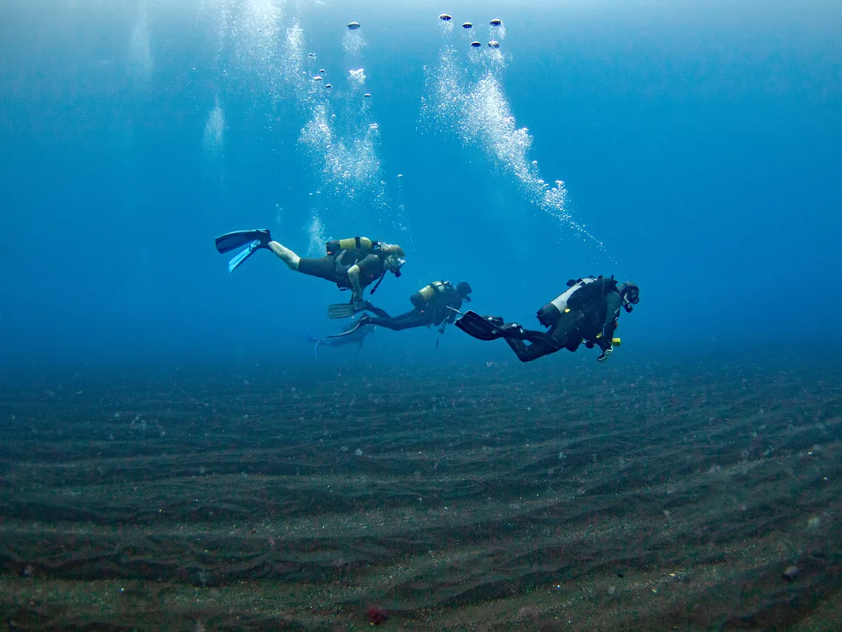 Des plongeurs et leur moniteur à El Hierro aux Îles Canaries 