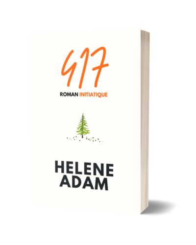 Roman de Noël 417